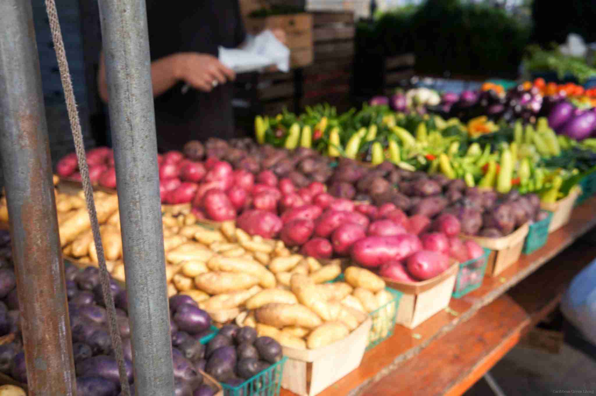 10 Reasons To Buy Your Produce At Your Local Farmers Markets