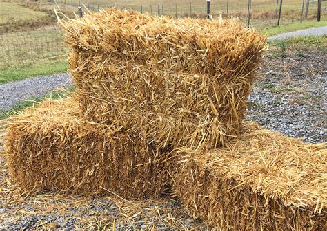 10 Ways To Source Quality Bale Straw Locally