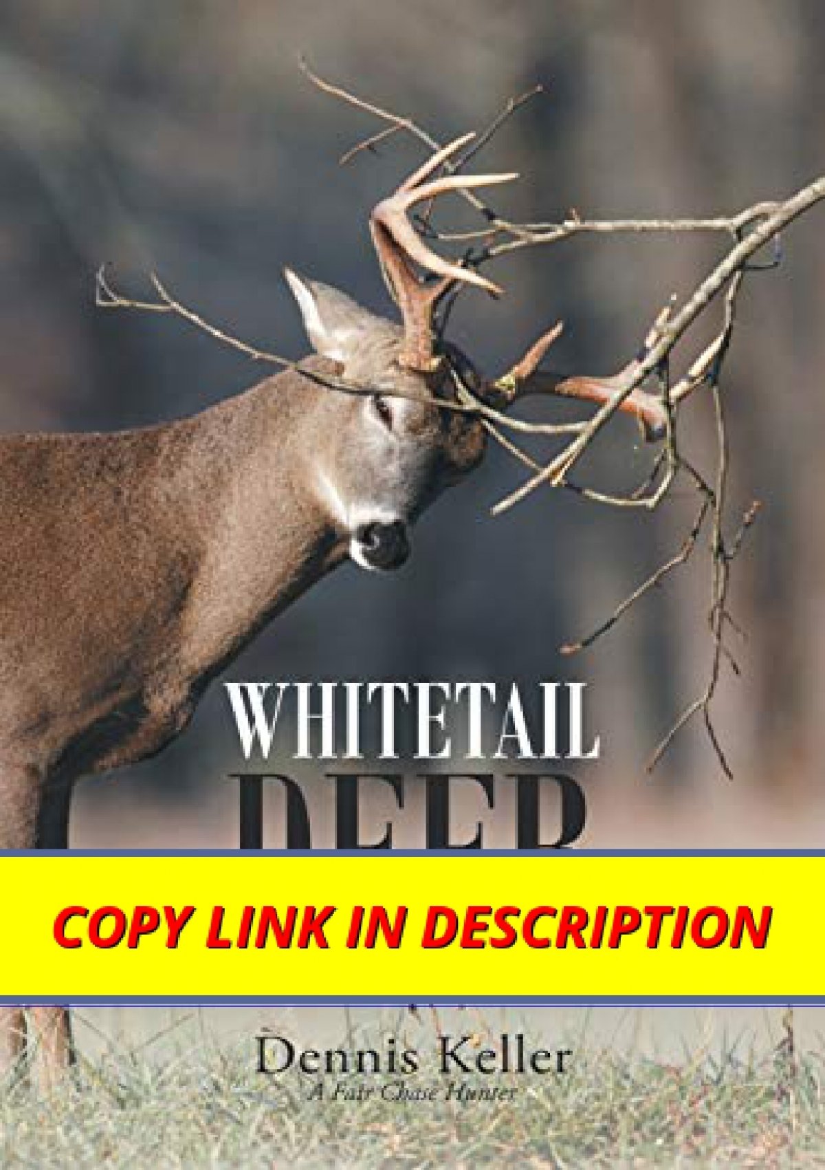 10 Whitetail Deer Facts Most Hunters Don T Know Outdoor Enthusiast