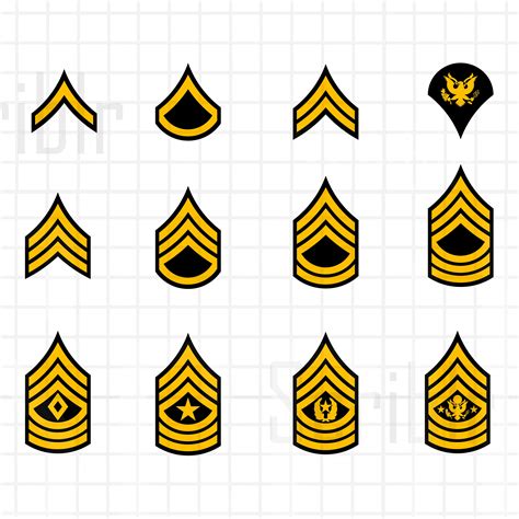 12 German Army Rank Symbols And Their Meanings