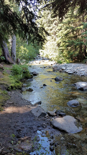 12 White Pine Trailhead Essentials For A Successful Hike