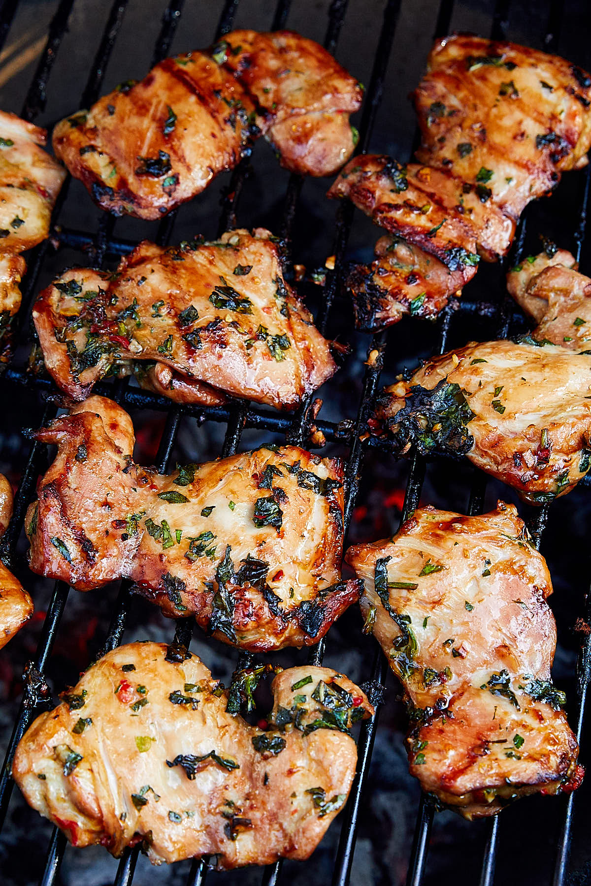 15+ Mouthwatering Marinade Recipes For Chicken Thighs