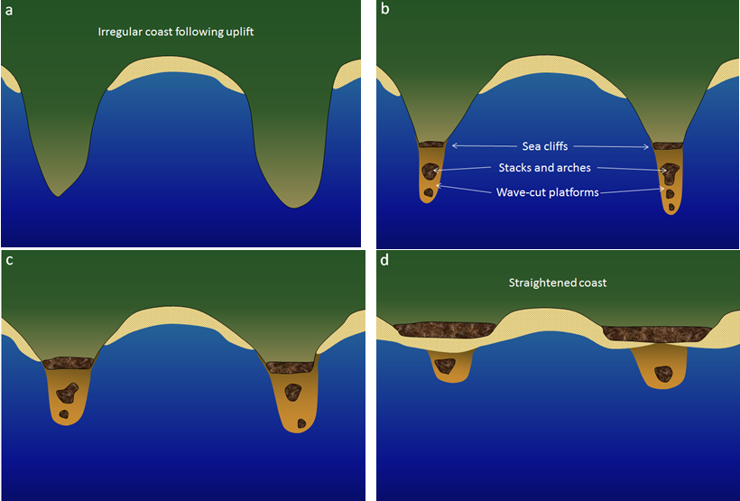 17 2 Landforms Of Coastal Erosion Physical Geology