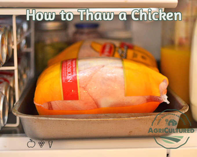 3 Easy And Safe Ways To Thaw Frozen Chicken Kitchen Tidbits Yeprecipes