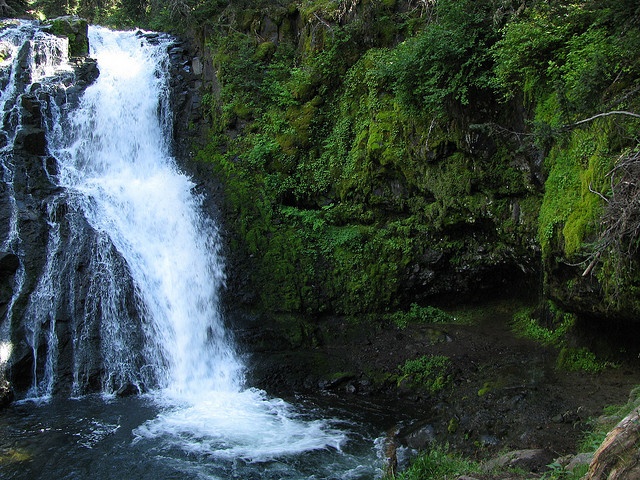 4K Nature Walks Grotto Falls Trail Popular Bozeman Trail In Hyalite