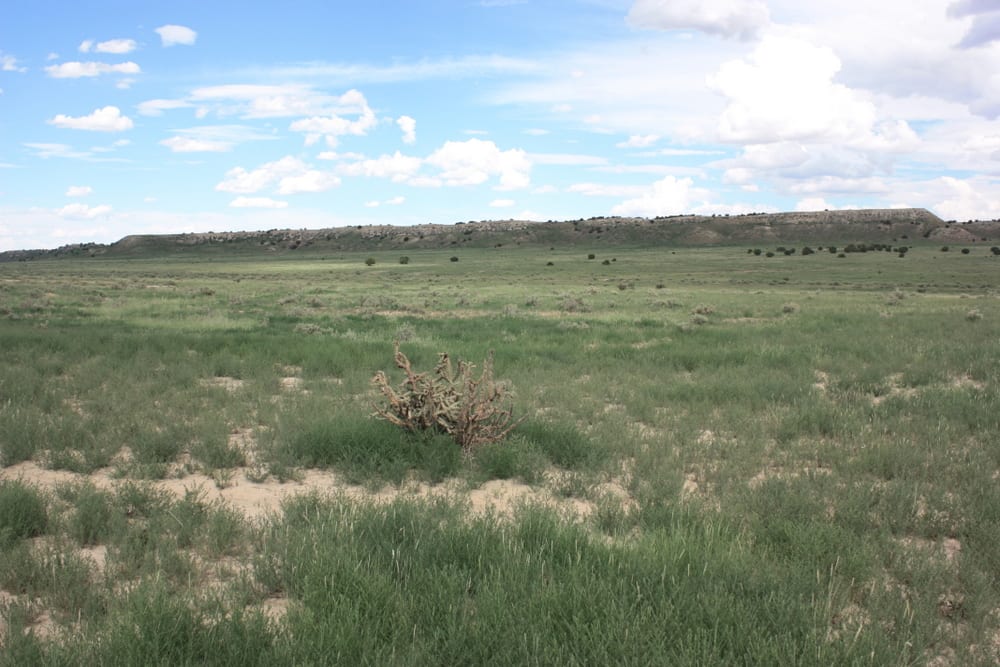 5 Tips To Experience The Beauty Of Comanche National Grassland