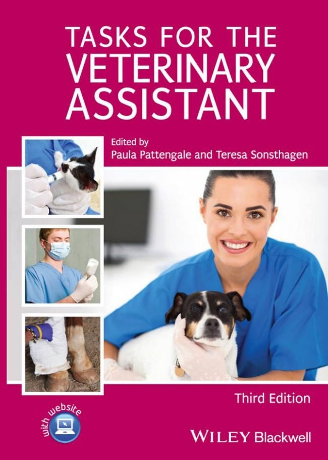 7 Veterinary Assistant Tasks: A Day In The Life