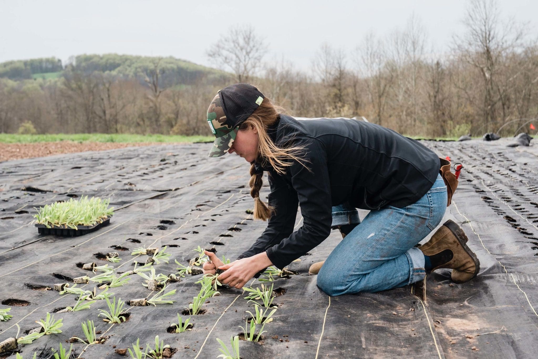 Agriculture Jobs: Unlocking Career Opportunities In Sustainable Farming