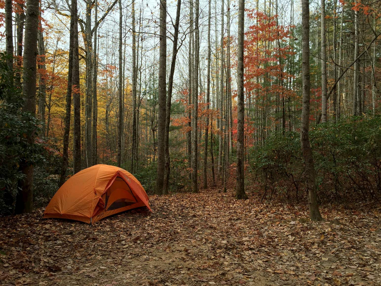 Asheville North Carolina Asheville Nc Best Campgrounds Mountain