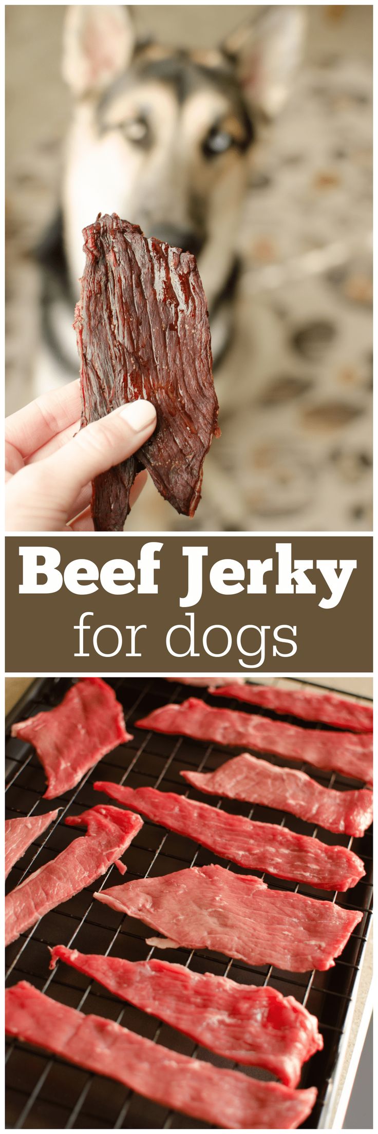 Beef Jerky For Dogs: A Healthy Treat Option