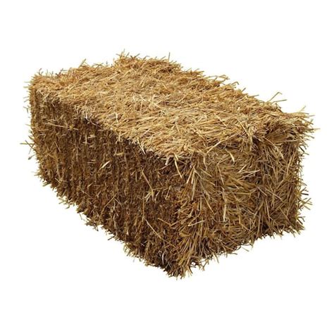 Bell Nursery Straw Bale Full Size Strawfull1pk The Home Depot