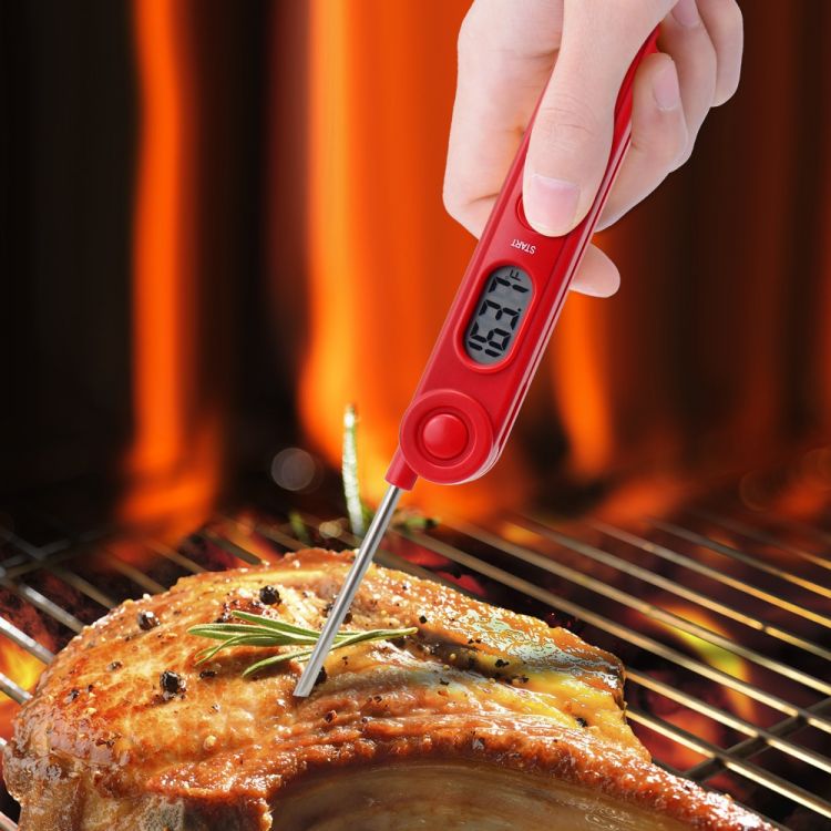 Best Digital Food Thermometer