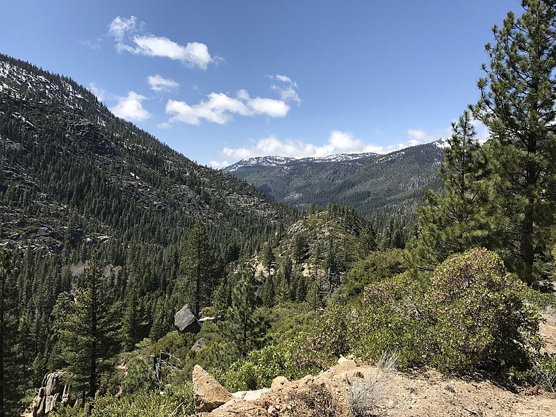 Best Hikes In Stanislaus National Forest Ca Trailhead Traveler