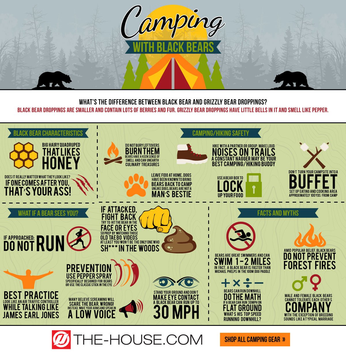 Black Bear Safety Tips Infographic