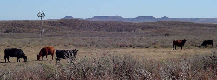 Black Kettle National Grassland Travelok Com Oklahoma S Official