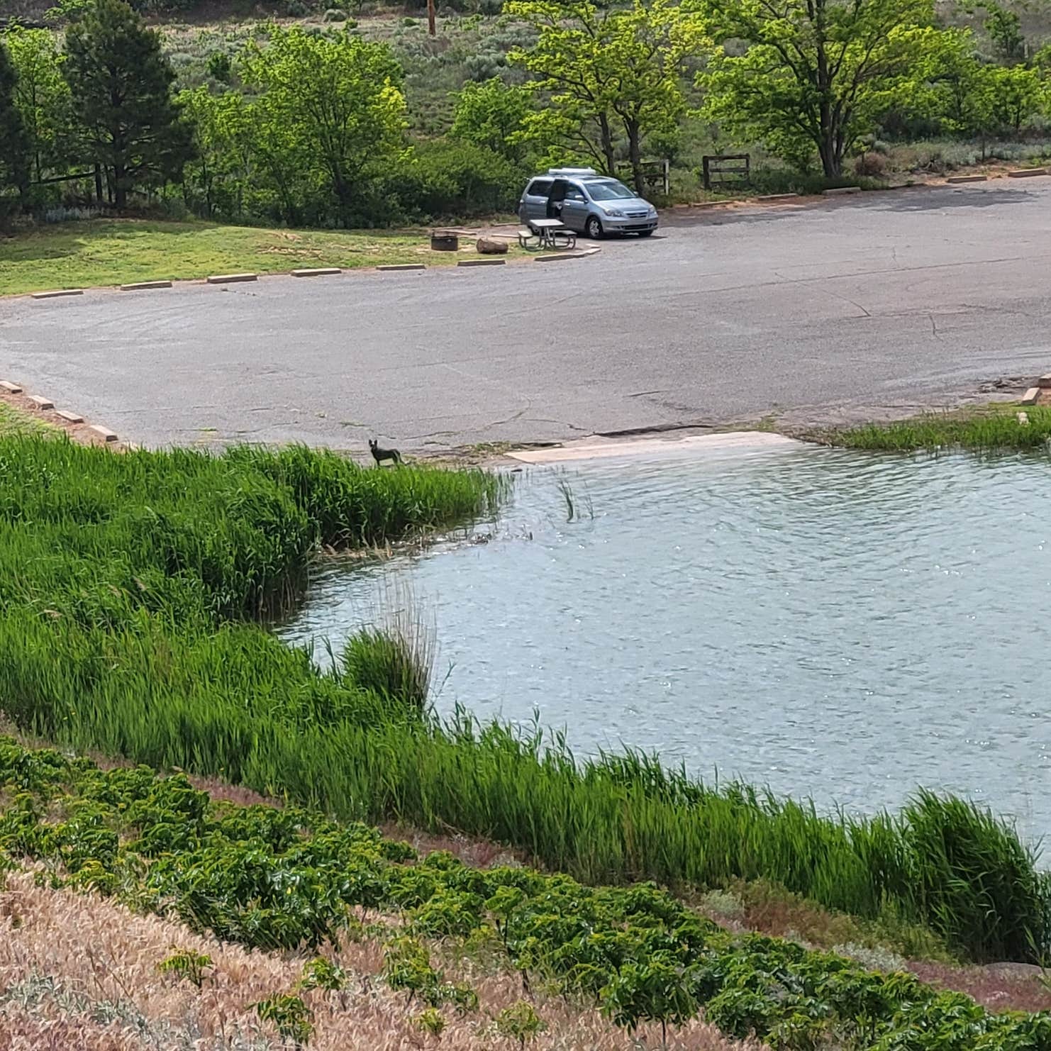 Black Kettle National Grassland