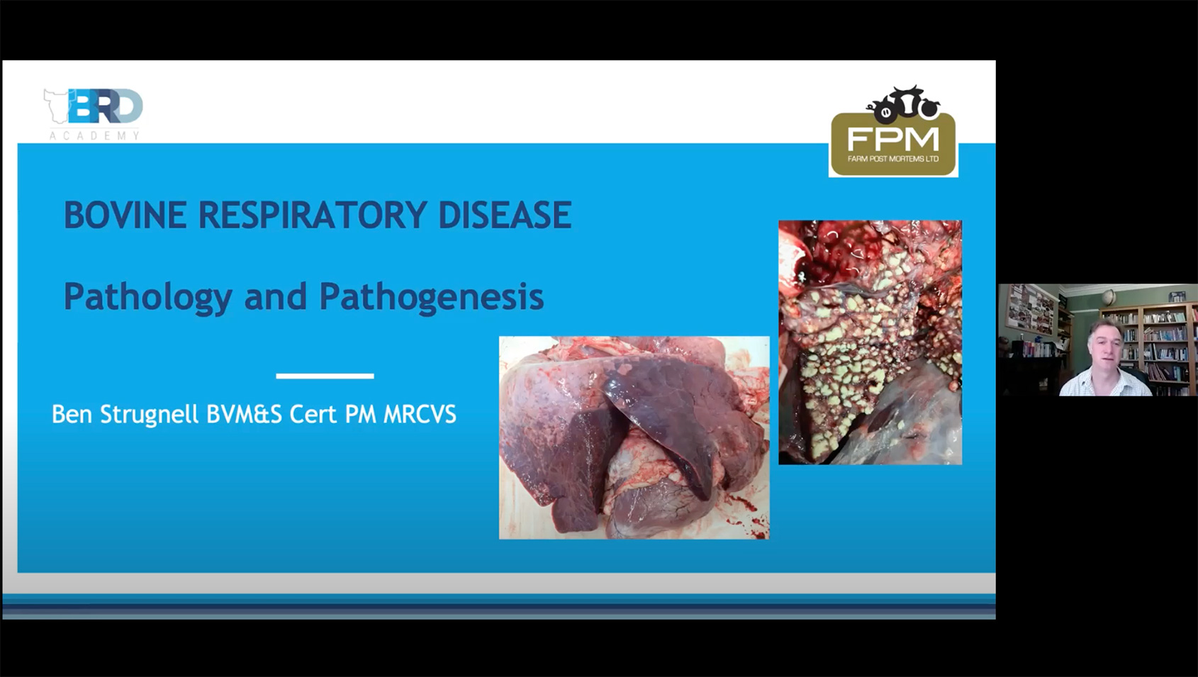 Bovine Respiratory Disease: A Comprehensive Guide To Prevention And Treatment