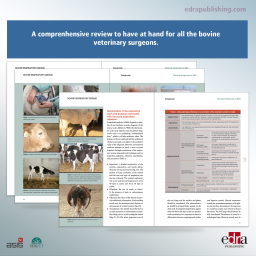 Bovine Respiratory Disease Essential Guides On Cattle Farming