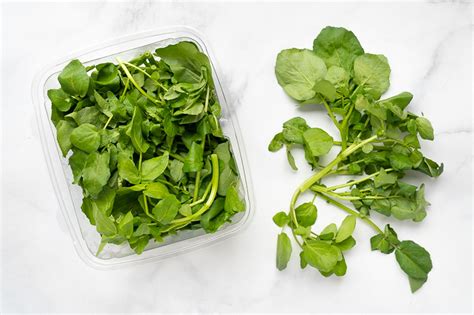 Buy Watercress Organic For Delivery Near You Farm To People