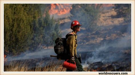 Calf Canyon Fire An Overview Of The Devastating Wildfire