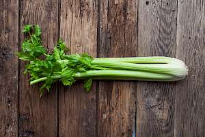 Calories In Celery