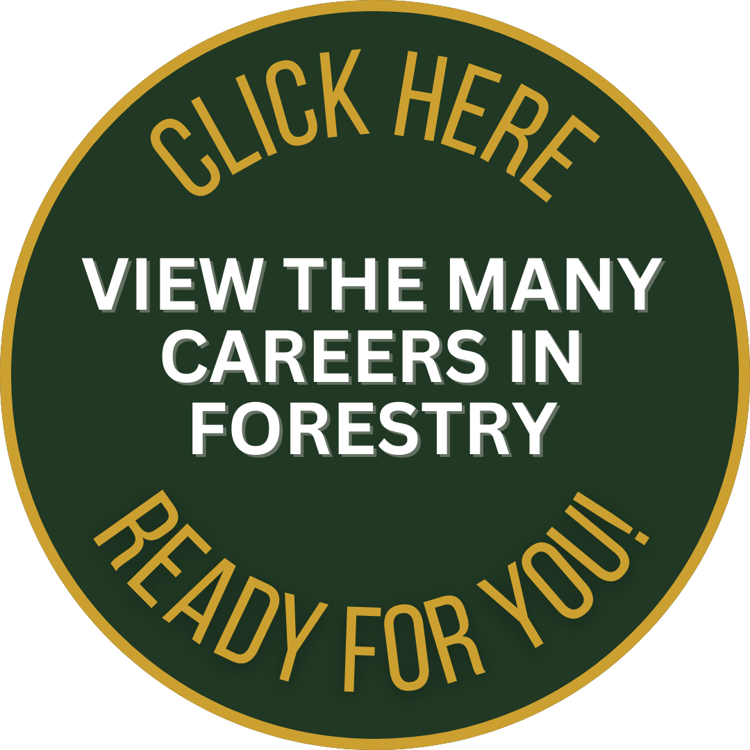 Careers In Forestry Forestry Australia