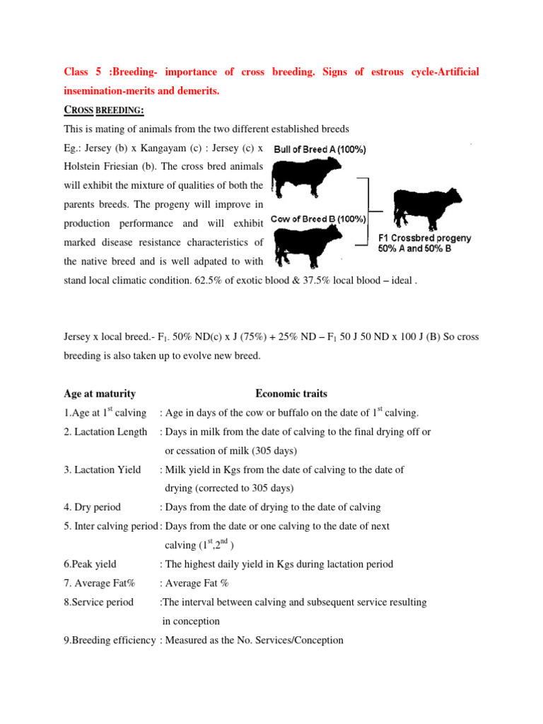 Cattle Breeding Cycle