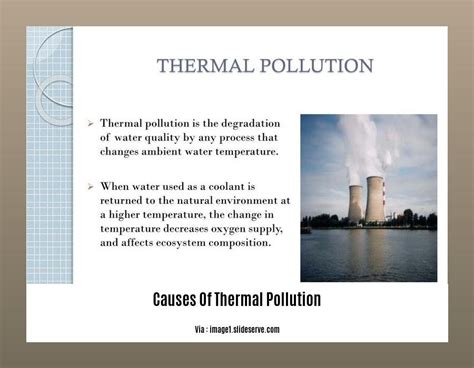 Causes Of Thermal Pollution In Points Understanding The Impact Of