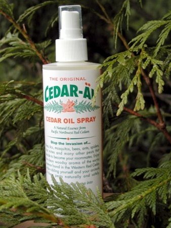 Cedar Oil Spray: Natural Pest Control For A Peaceful Home