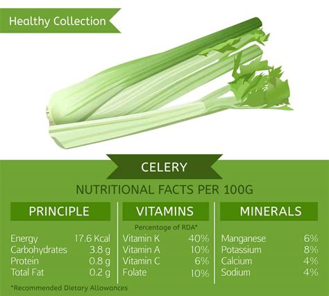 Celery Nutrition Facts How Many Calories In Celery Foods Trend