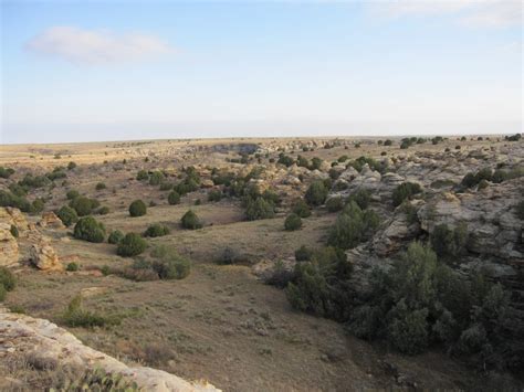 Comanche National Grassland La Junta Co Uncover Colorado