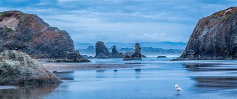 Coquille's Coastal Charm: Uncover Oregon's County Treasures