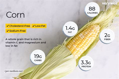 Corn Nutritional Value Nutrition Facts Is There Any Health Benefits