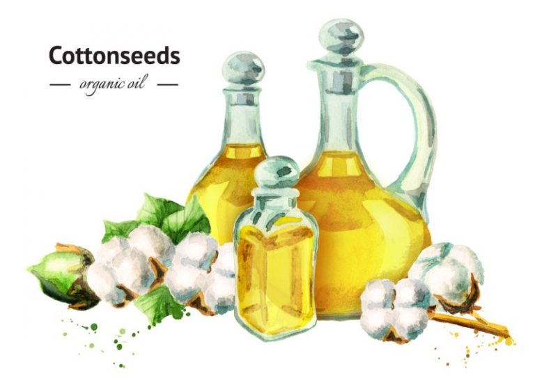 Cottonseed Oil Benefits And Uses