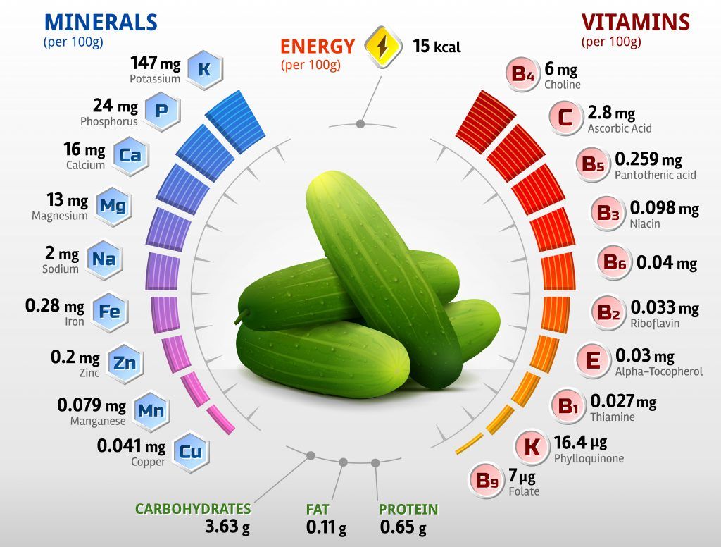 Cucumber Nutrition Facts Angel Vegetable