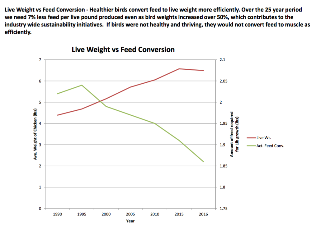 Debunking The Myth That Chickens Are Suffering