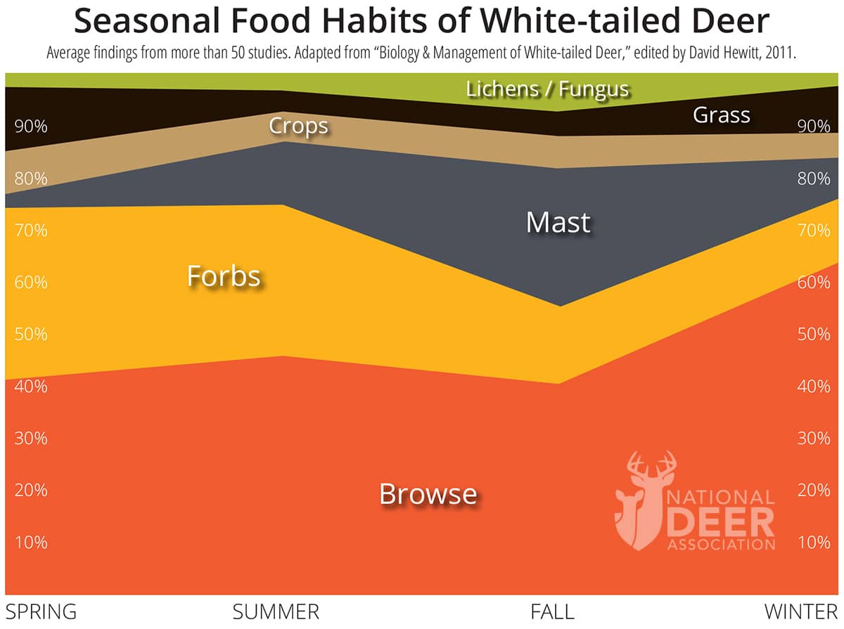 Deer Diet: Discover The Best Foods For A Healthy Herd