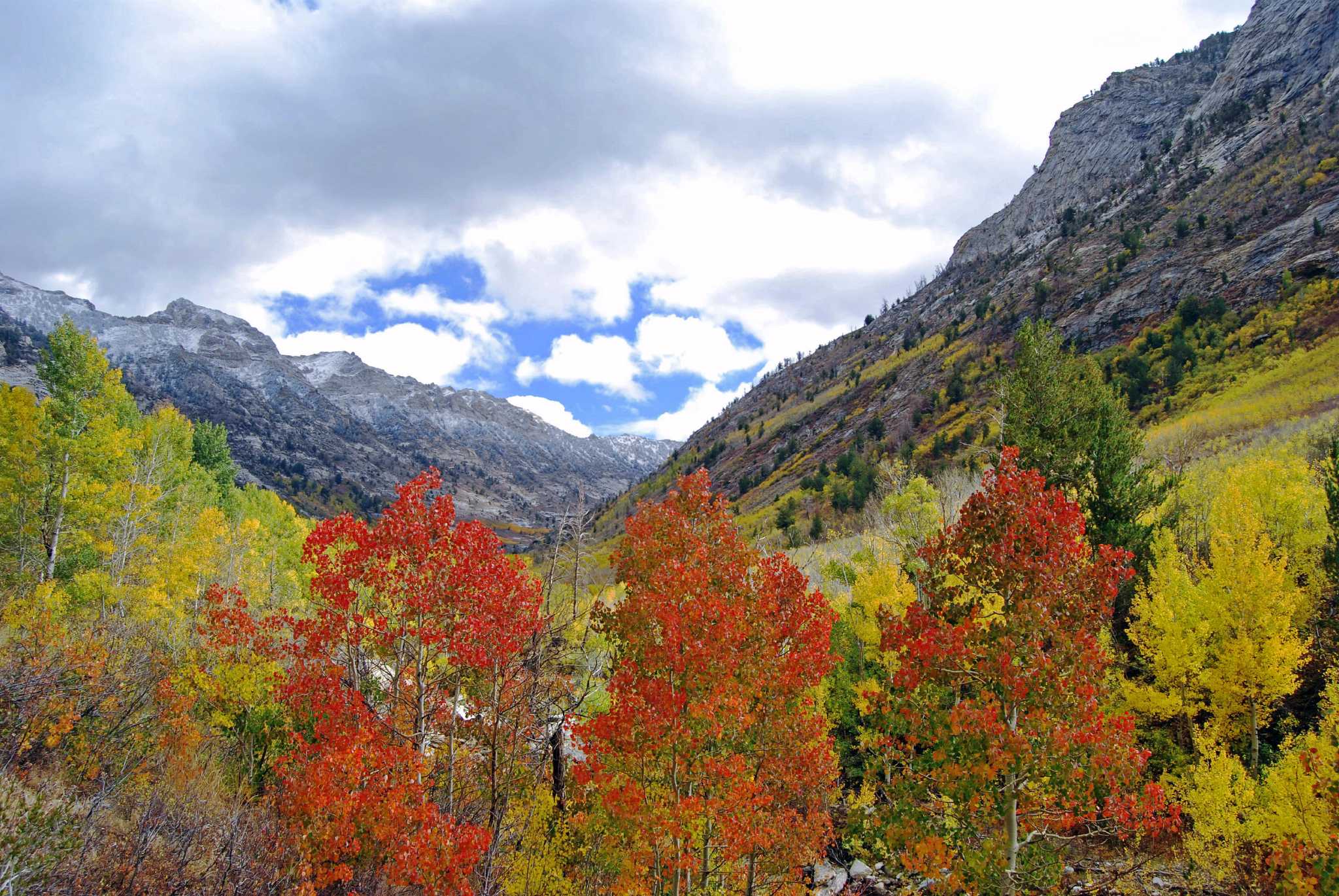 Discover The Ruby Mountains Located Near Elko Nevada