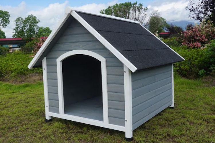 Dog Owners' Guide: Choosing The Perfect Outdoor Kennel For Your Pet's Comfort