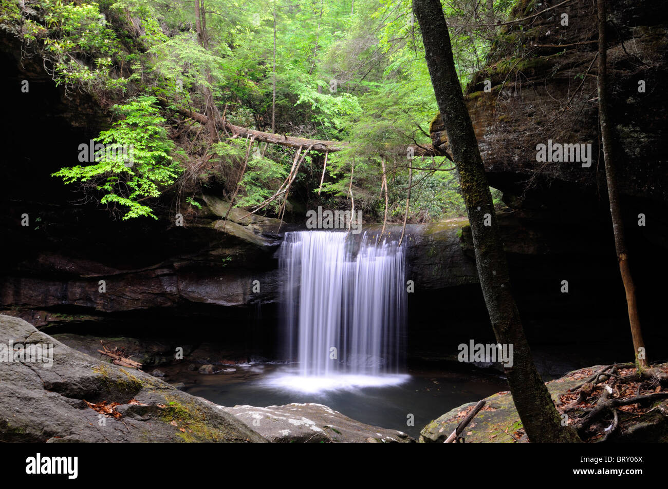 Dog Slaughter Falls In Kentucky Stock Photo Alamy