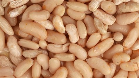 Dried Navy Beans: A Comprehensive Guide To Cooking And Nutrition