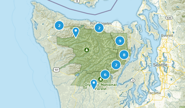 Dry Creek Trail Guide Olympic National Forest Hiking