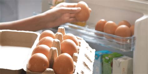 Egg Storage: Master The Art Of Maximizing Freshness