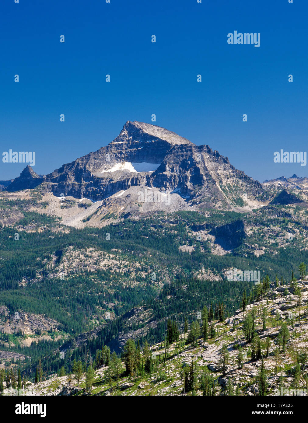 El Capitan In The Selway Bitterroot Wilderness Of Bitterroot Range