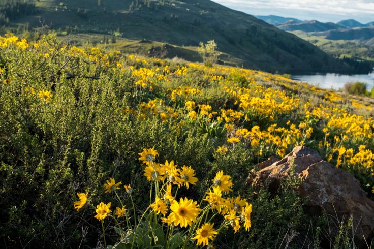 Explore The Methow Valley On The Cascade Loop Scenic Byway