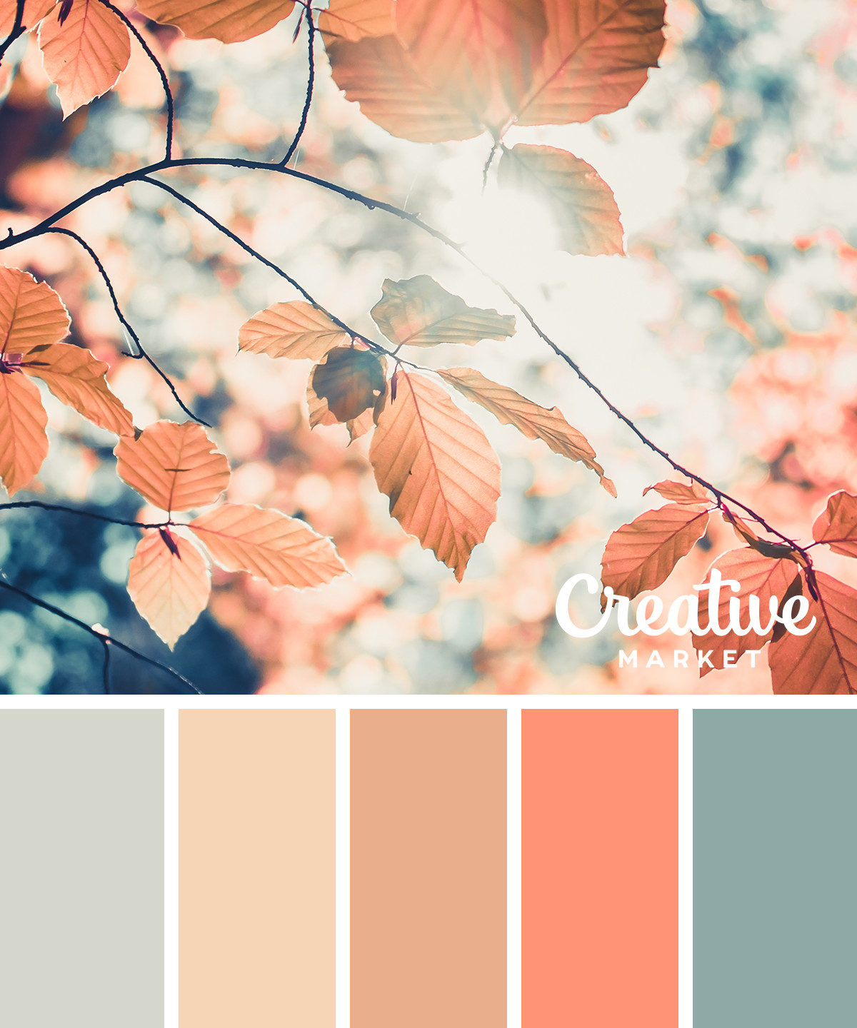 Fall Color Pallet