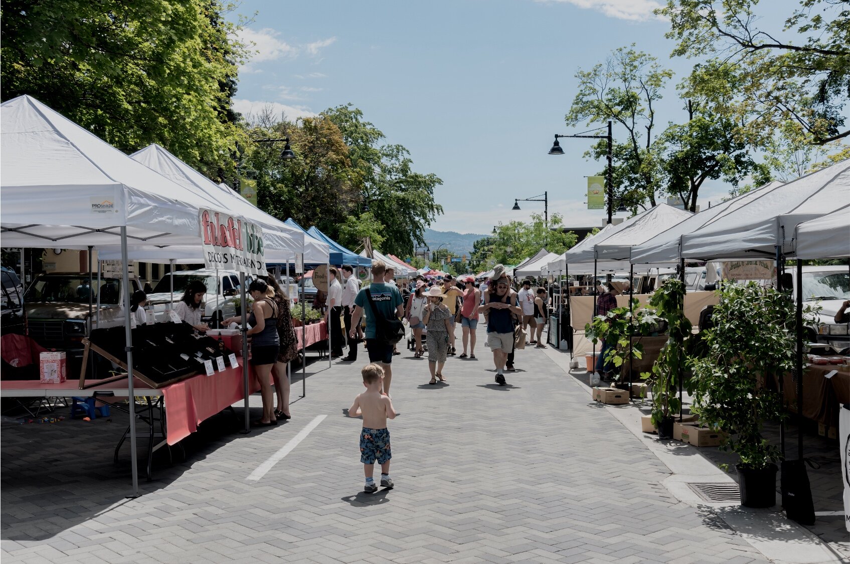 Farmers Markets Near Me