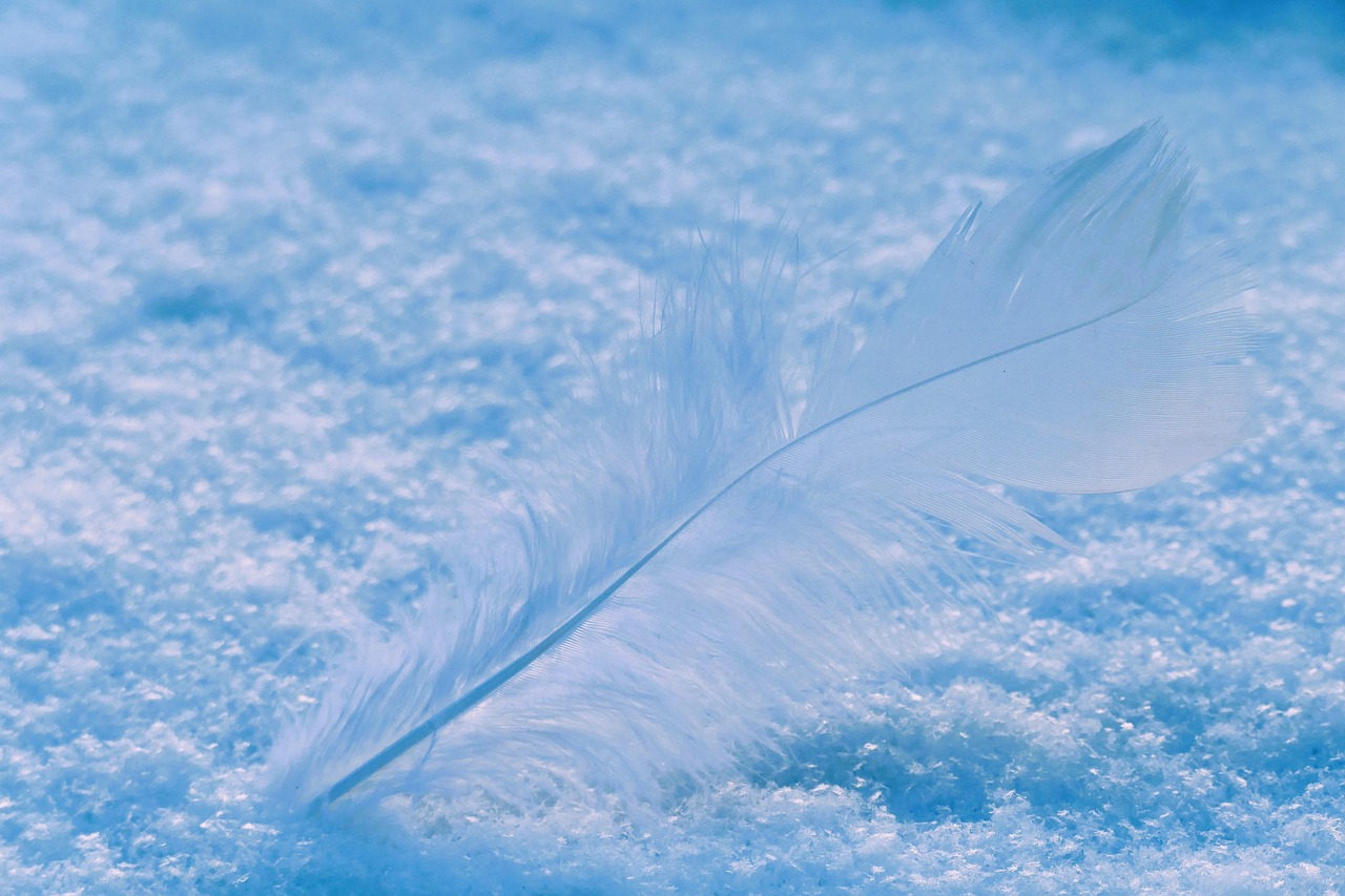 Feather Snow Road