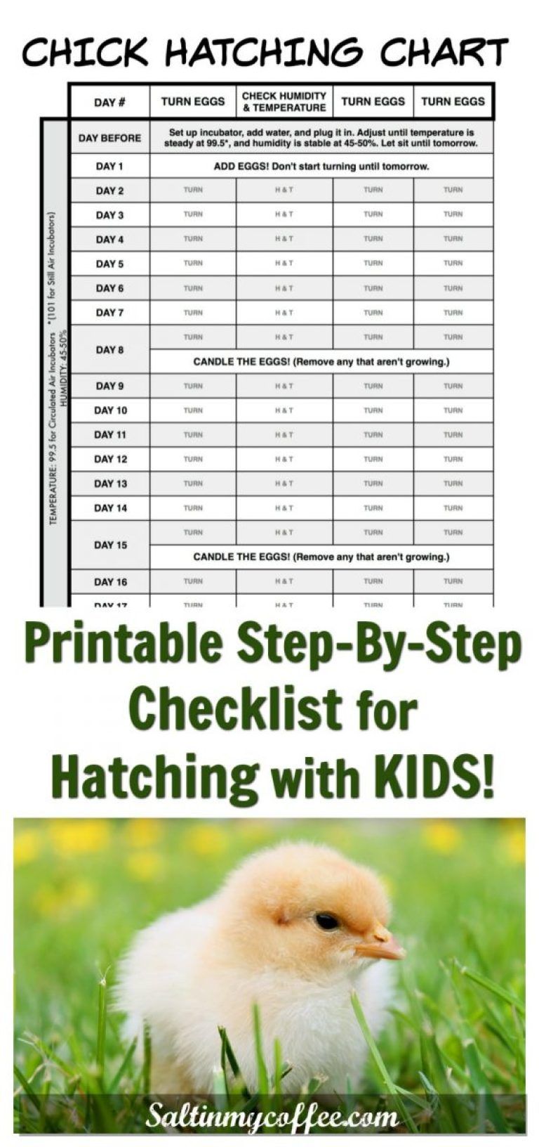 Fertile Egg Incubation: A Comprehensive Guide To Hatching Healthy Chicks