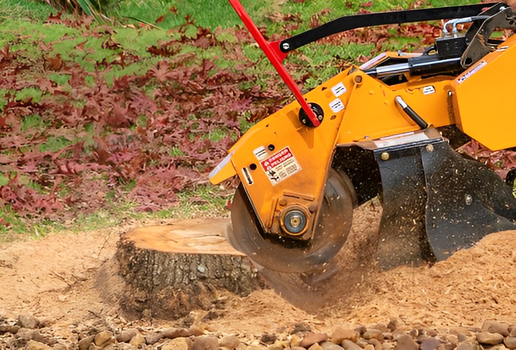 Find The Perfect Stump Grinder For Sale Boom Bucket